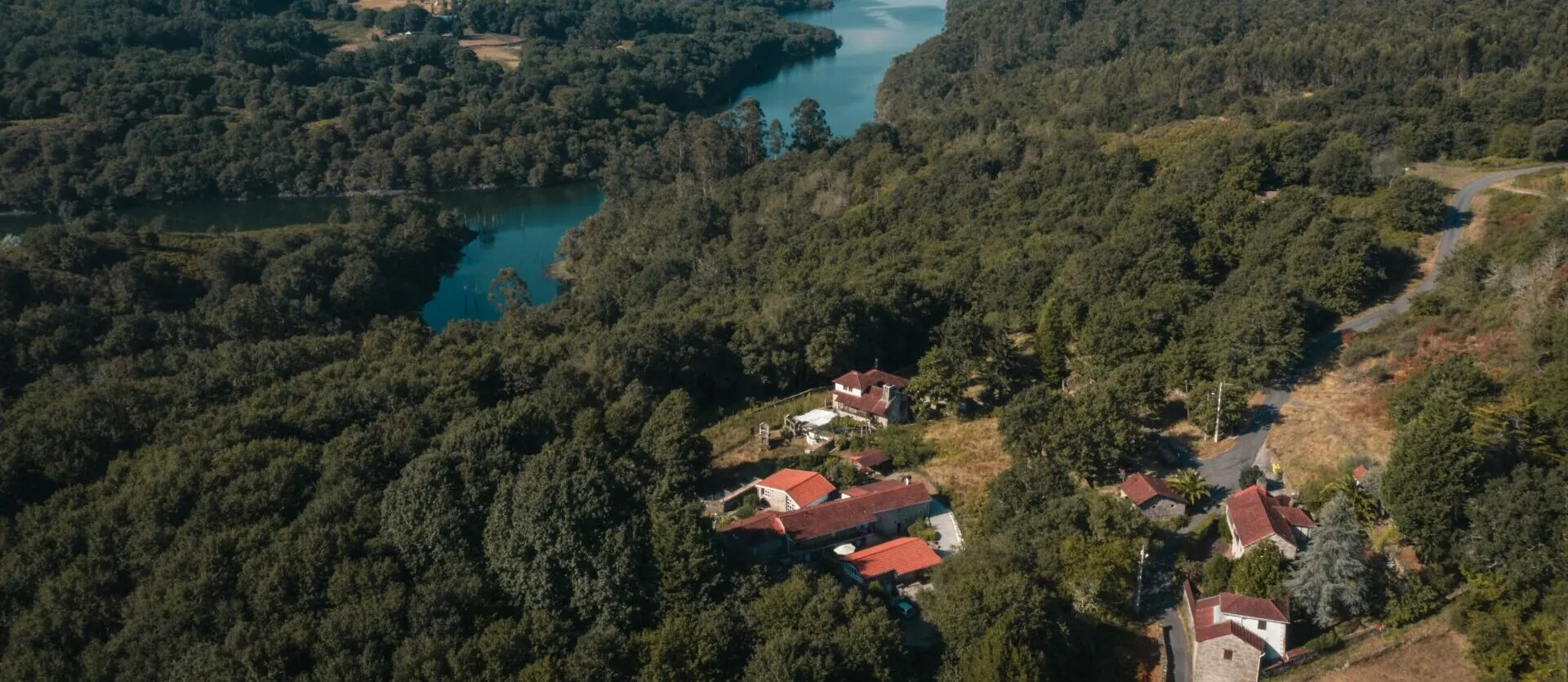 Anceu Coliving entre árboles con niebla matutina en Galicia