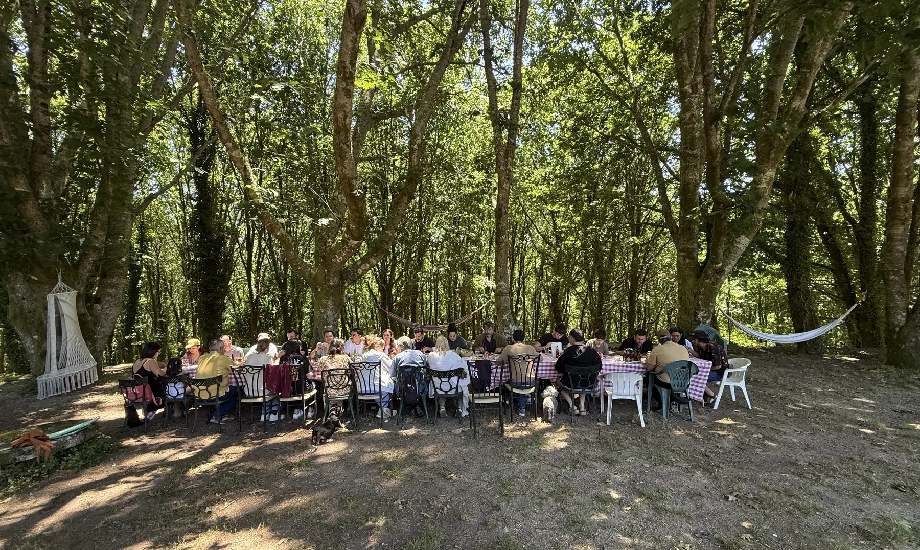Anceu Coliving e a paisaxe natural de Ponte Caldelas, Galicia